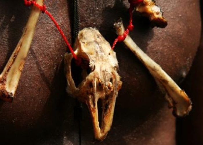 00190339_5538c91d2f779991271adff96b5457db_arc614x376_w735_us1